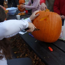 Kürbisfest Popelín, SÜDBÖHMEN