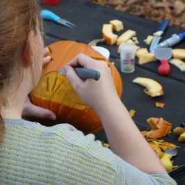 Kürbisfest Popelín, SÜDBÖHMEN