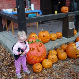 Kürbisfest Popelín, SÜDBÖHMEN