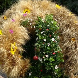 Dožínky ErntedankKirche Patzmannsdorf