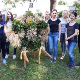 Dožínky ErntedankWiese Patzmannsdorf