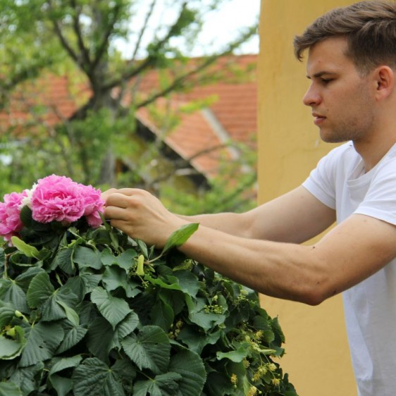 Královské letniční šaty z lupení Pfingstkini Patzmannsdorf