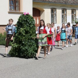 Královské letniční šaty z lupení Pfingstkini Patzmannsdorf