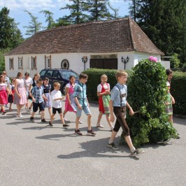 Královské letniční šaty z lupení Pfingstkini Patzmannsdorf