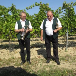 Pouť Hüatagang Haugsdorf