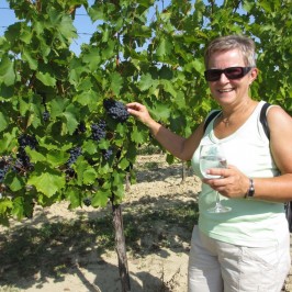 Pouť Hüatagang Haugsdorf