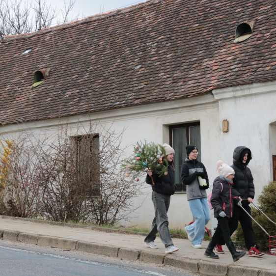 Smrtelnošky v Dědicích