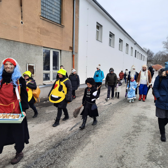 Masopust Nová Včelnice